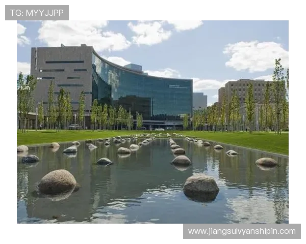 亚博网址登录入口指南，详细介绍多种登录方式与安全保障措施