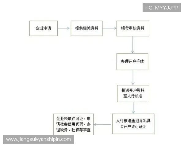 亚星开户管理平台的操作流程详解与使用技巧分享