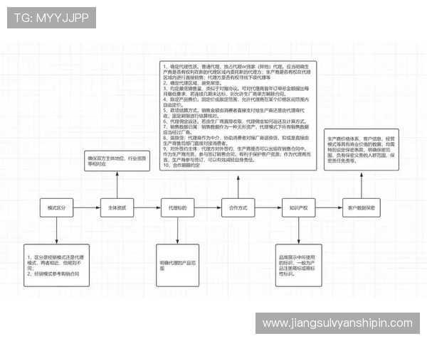 亚星正网代理合作流程全景解析，助力新手快速上手实现盈利