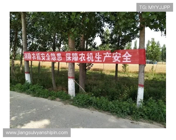 亚星网址登录安全保障措施，保障用户账号信息安全的实用技巧